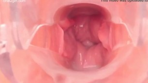 Inside the Vagina