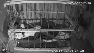 The Cage Cam may 6 2018 2311 Life in the Cage for Slave Andrew